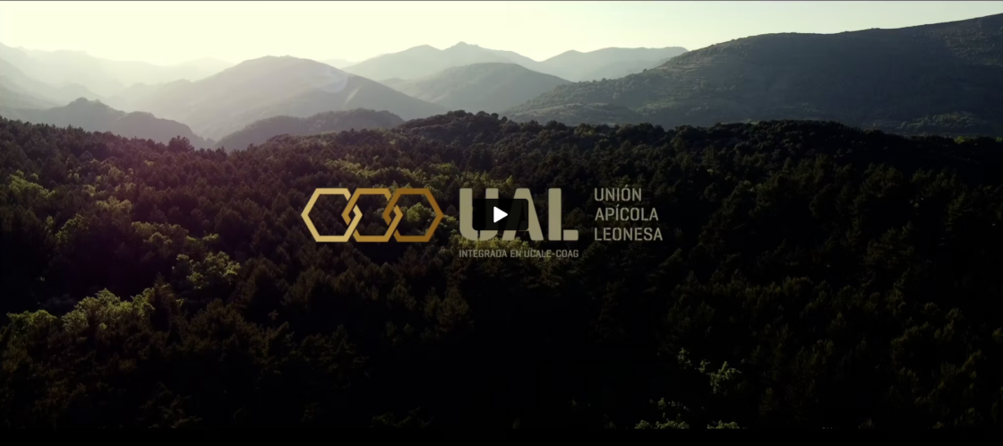 UCALE – COAG Miel